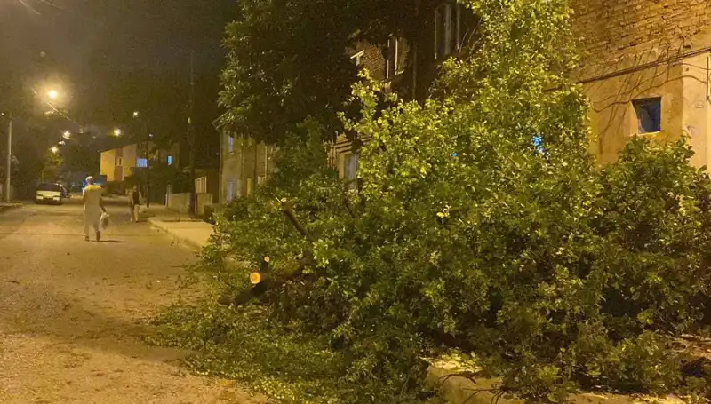 Karabük'te Fırtına: Şehir Sakinlerini Tedirgin Eden Doğa Olayı