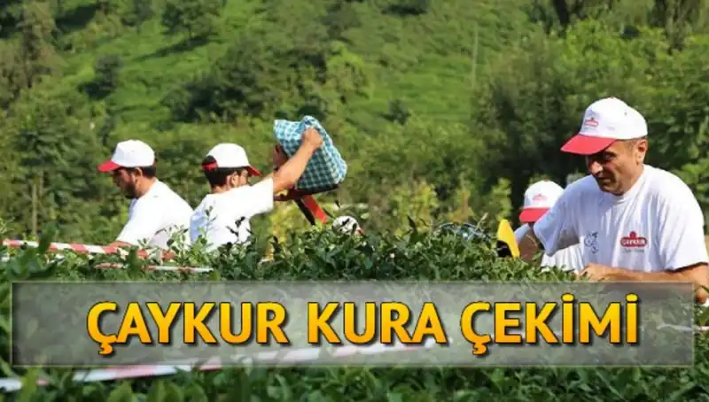 Çaykur Kura Şansı: Canlı Kura Sayfasından İsimlerinizi Öğrenin!