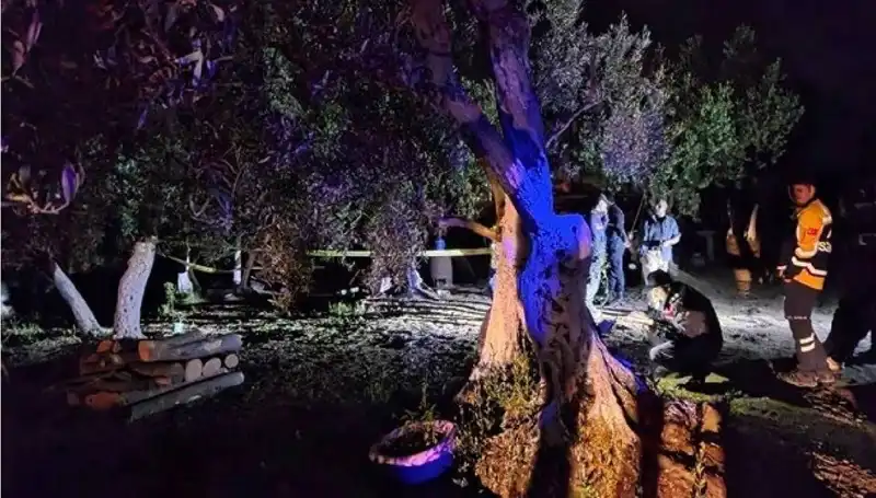 Çiftlikteki Baltalı Vahşet: Bir Tutuklama ve Sarsıcı Detaylar