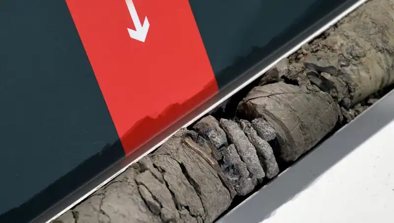 Dinozor Fosili Müze Otoparkında Bulundu: Bilim Dünyasında Şok Etki Yarattı