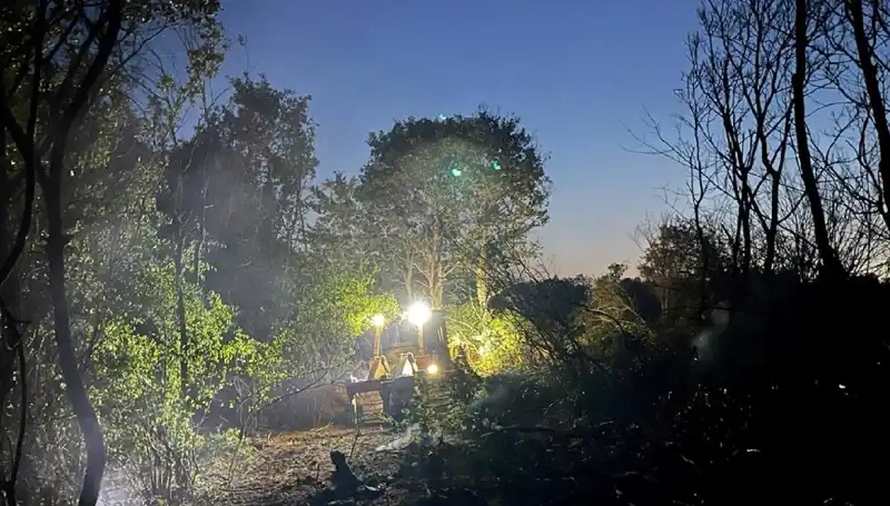 Edirne'deki Orman Yangınına Müdahale: Felaket Önlenmiş Olundu