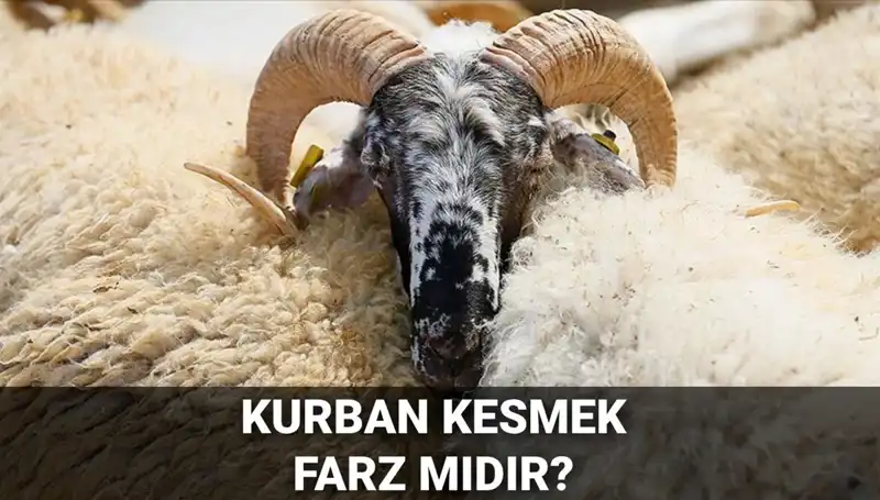 Kurban Kesmek Farz mı? Diyanet'in Hükmü ve Şartları