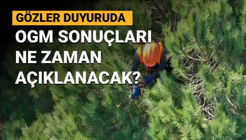 OGM 3 Bin 477 Sözleşmeli Personel Alımı Başvuru Süreci ve Sonuçları