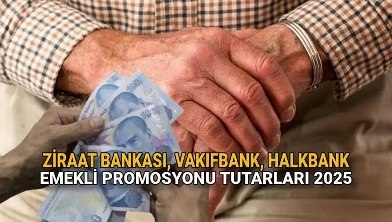 Emeklilere Müjde: 2025'te Kamu Bankalarından Yüklü Promosyonlar Geliyor!