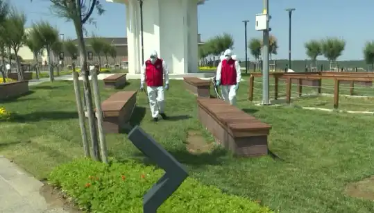 Kene Tehdidi Artıyor: Halka Açık Alanlarda İlaçlama Faaliyetleri Başlatıldı