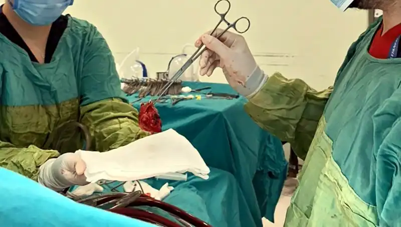 Kalp Kapağı Çürüyen Hastaya 7 Saatlik Ameliyat: Mucizevi Sonuç!