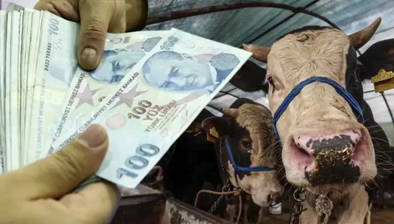 Bayram Öncesi Maaşlar Ne Zaman Yatacak? Emekli ve Memurlar Dikkat!