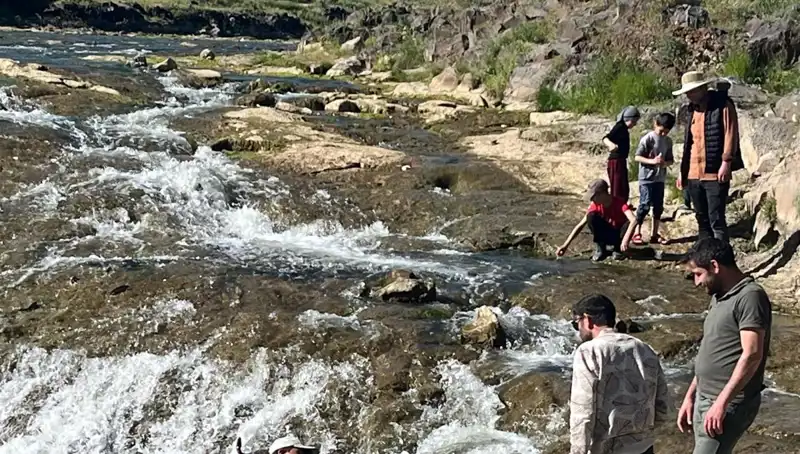 İnci Kefali Göçü: Doğa Harikası, Turistlerin Akınına Uğradı