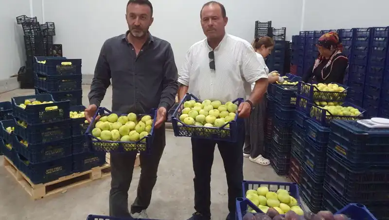 Mersinli Çiftçilerin Yüzü Güldü: İhraç Edilen Ürünlerin Fiyatı 20 TL