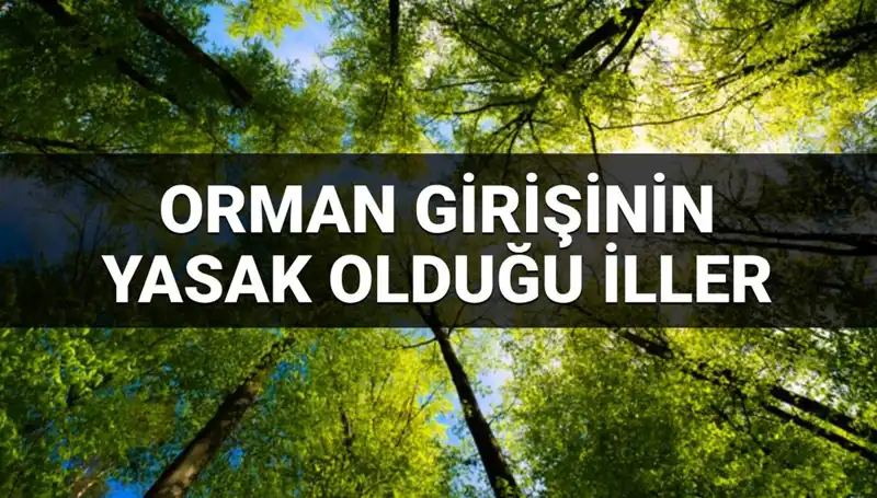 Hangi İllerde Ormana Girmek Yasak? 2025 Yılında Geçerli Olan Liste Açıklandı