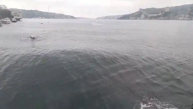 İstanbul Boğazı’nda Dalgalar Yükseliyor: Sıra Dışı Doğa Olayı Neler Getirecek?