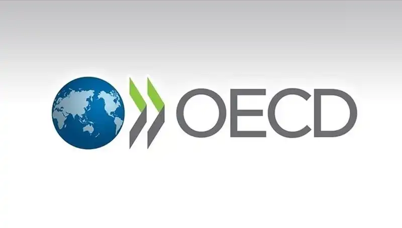 Türkiye’nin Büyüme Tahminleri OECD Tarafından Yenilendi: Beklentiler Neler?
