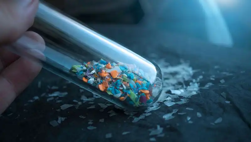 Mikroplastikler: İnsan Beynine Sızan Tehlike ve Etkileri Ayrıntılı İnceleniyor