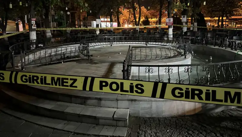 Kırklareli'nde Süs Havuzunda Yüzlerce Can kaybı: Dört Kişi Hastaneye Kaldırıldı